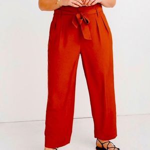 Madewell | Drapey Paperbag Waist Pants size 24
Etruscan clay NWOT